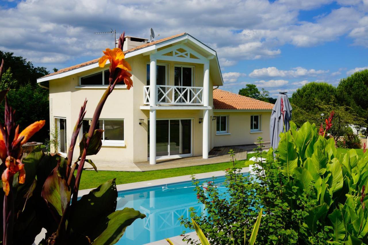 Villa Alba. Piscine Grand Jardin Hauts De Bordeaux Carignan-de-Bordeaux Bagian luar foto