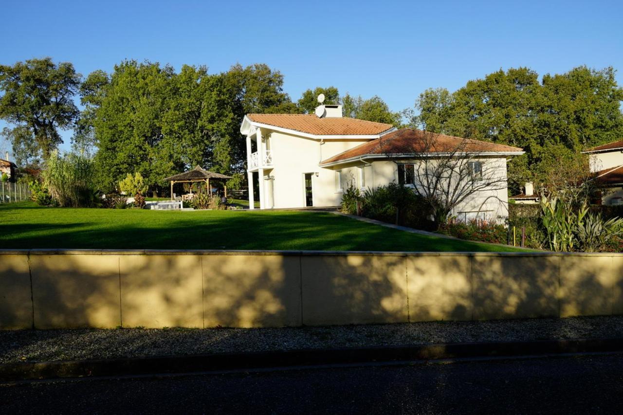 Villa Alba. Piscine Grand Jardin Hauts De Bordeaux Carignan-de-Bordeaux Bagian luar foto